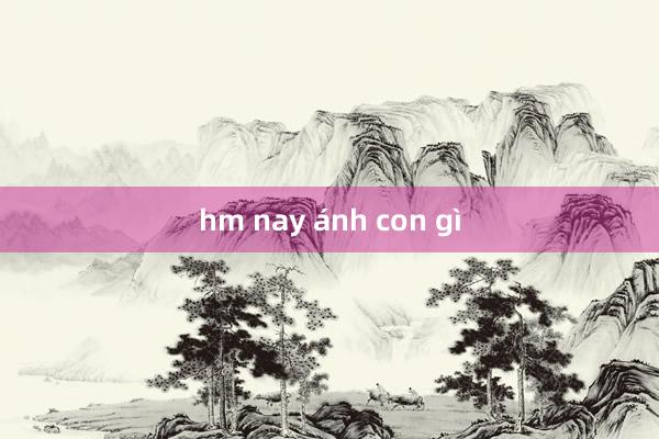 hm nay ánh con gì