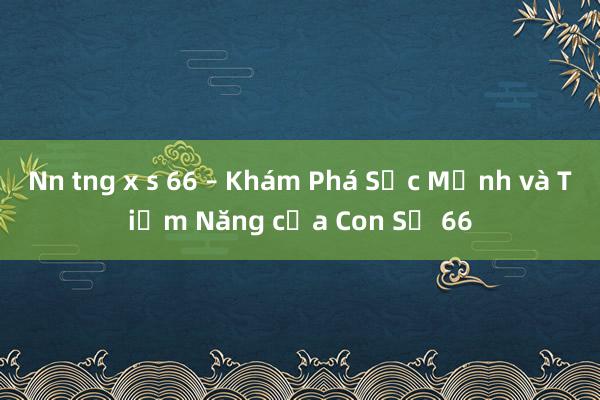 Nn tng x s 66 – Khám Phá Sức Mạnh và Tiềm Năng của Con Số 66