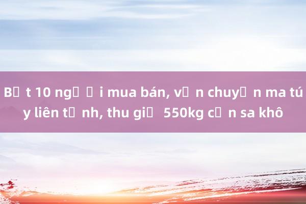 Bắt 10 người mua bán， vận chuyển ma túy liên tỉnh， thu giữ 550kg cần sa khô