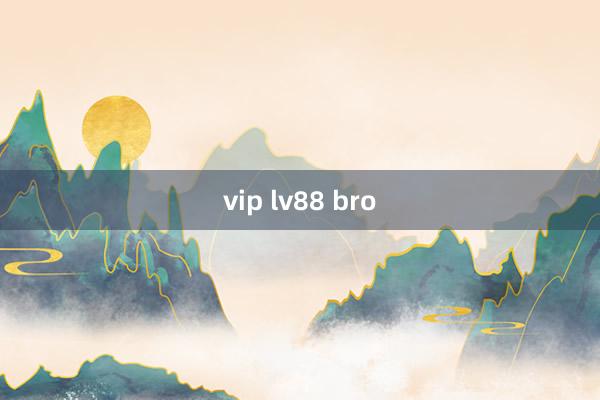 vip lv88 bro