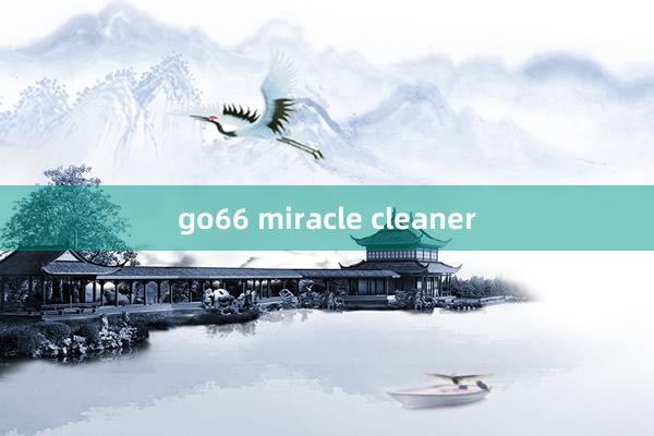 go66 miracle cleaner