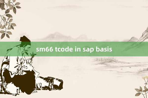 sm66 tcode in sap basis