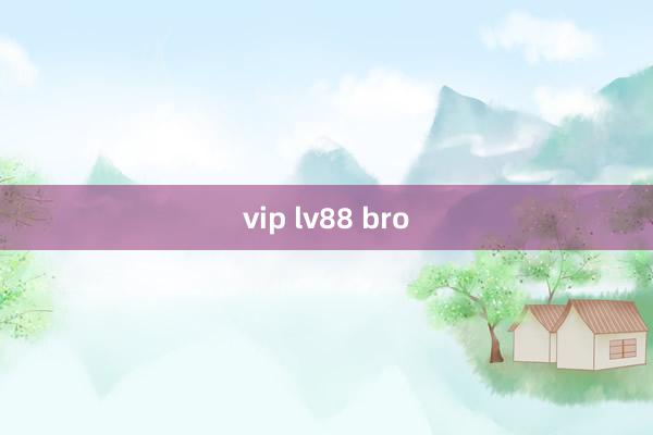 vip lv88 bro