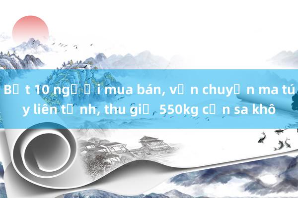 Bắt 10 người mua bán, vận chuyển ma túy liên tỉnh, thu giữ 550kg cần sa khô